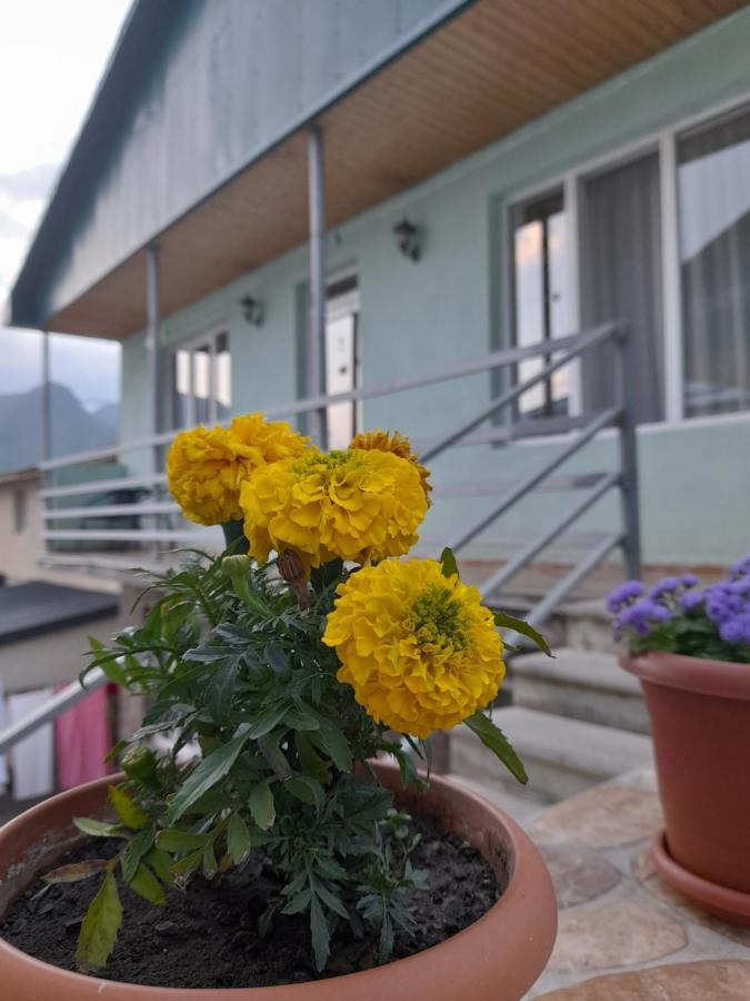 Kera Guest House Kazbegi Exteriör bild